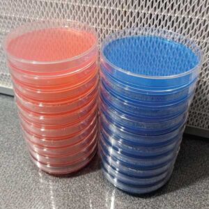 Pre-Poured Agar Plates (20)